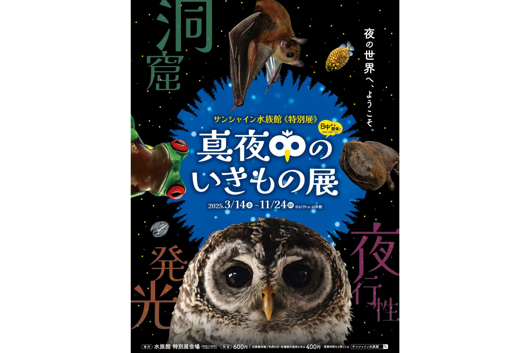 サンシャイン水族館 特別展「真夜中のいきもの展」